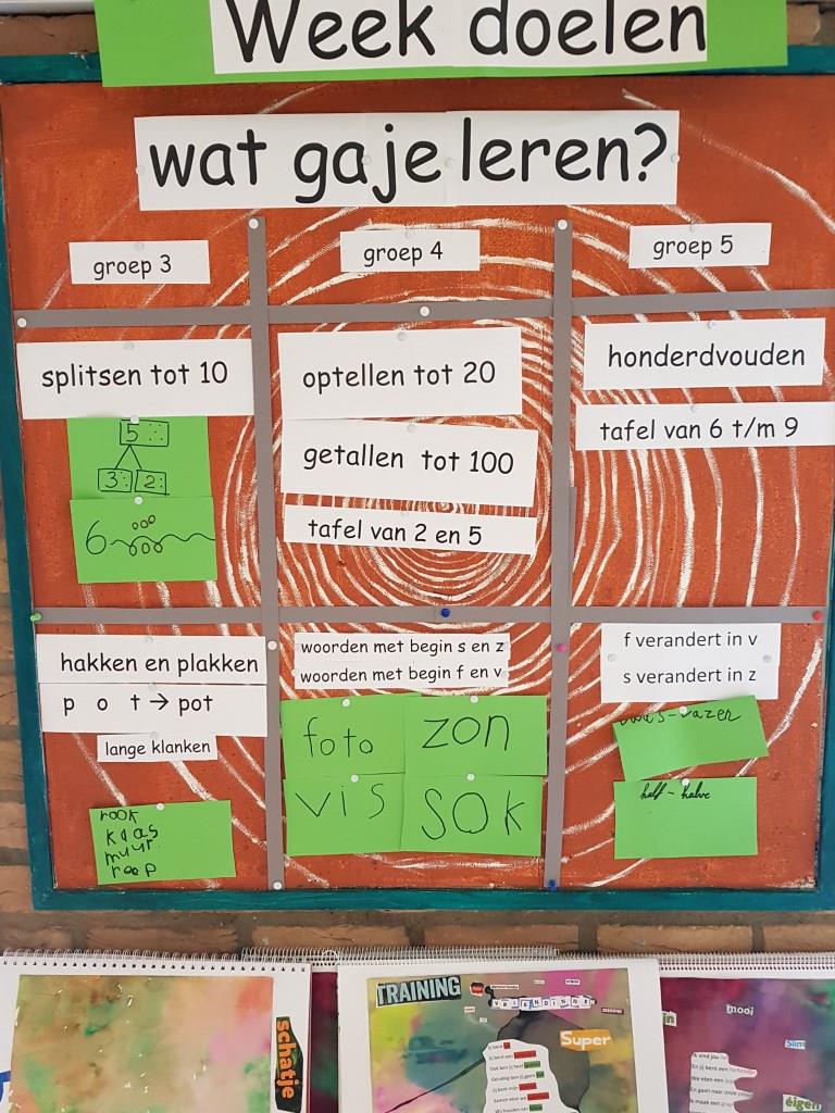 Leerdoelen