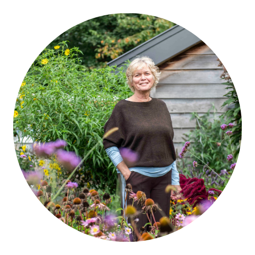 Over Janny Bolink JEen vraag over KiVa, sociaal veilig sporten of schoolontwikkeling? Neem contact op met Janny Bolink voor advies, training of begeleiding.